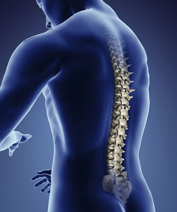 脊柱神经受压与骨软骨病